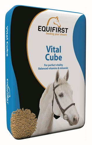 Equifirst Vitaler Würfel