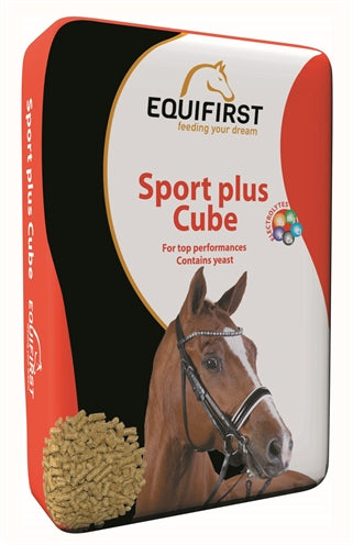 Equifirst Sport Plus Würfel