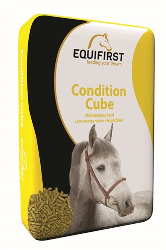 Equifirst Würfel Mit Äquifirst Condition