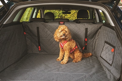 Kong Ultimative Cargo Auto Hundedecke