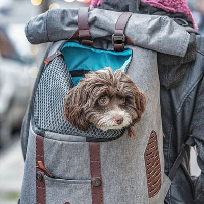 Kurgo Rucksack Grau/Braun