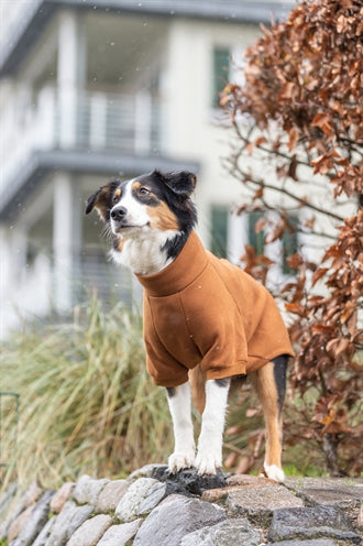 Trixie Citystyle Hund Sweatshirt Amsterdam Rost