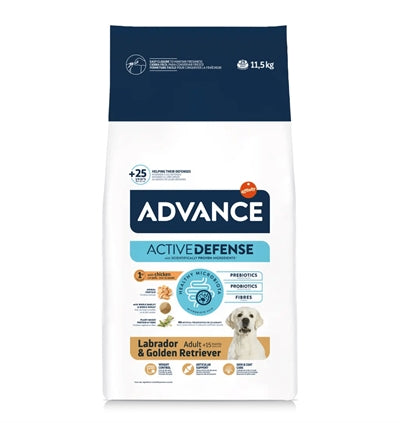 Advance Erwachsener Labrador Retriever